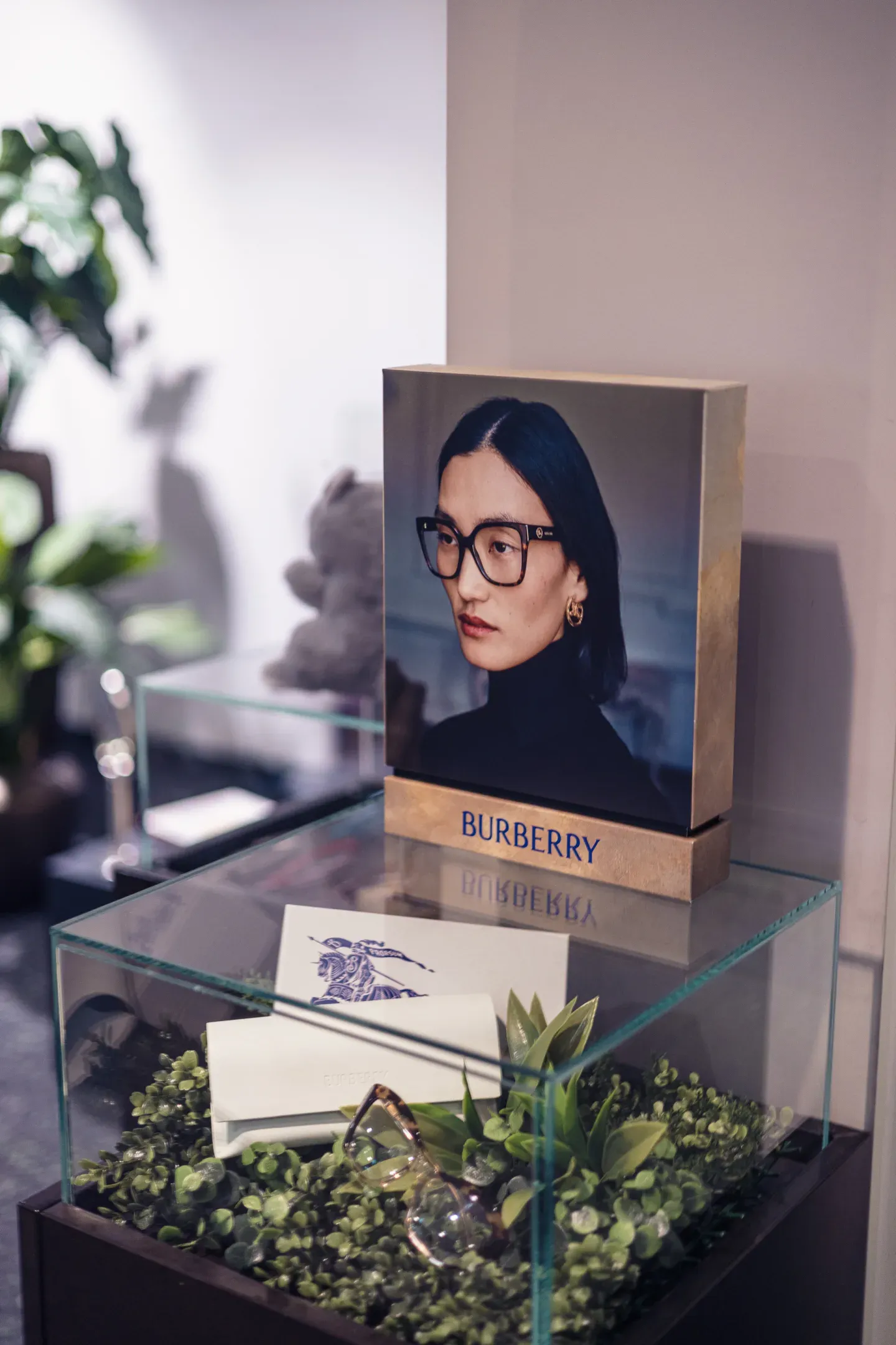 Burberry-Präsentation im Laden von Salzmann Optik.